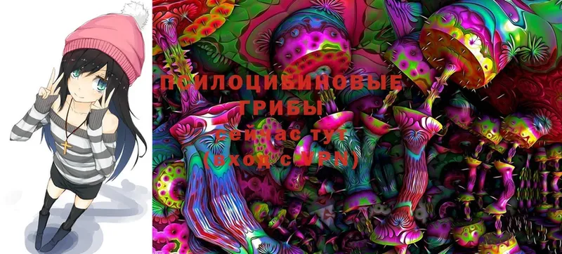 Галлюциногенные грибы Magic Shrooms  Великий Устюг 